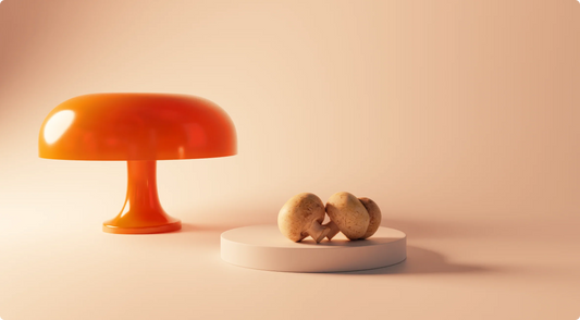 Moodeys Guide To Mushrooms