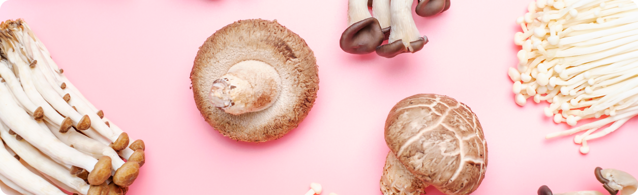Functional Mushrooms for Health: Benefits of Supplements for Wellness