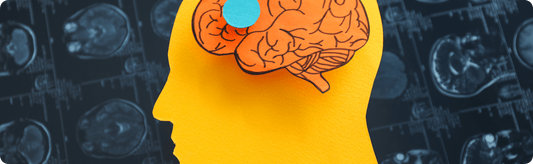 10 Best Cognitive Supplements for Improved Function - Moodeys