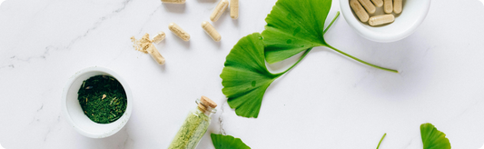 Exploring the Health Benefits of Ashwagandha