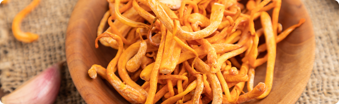 Organic Cordyceps Mushroom