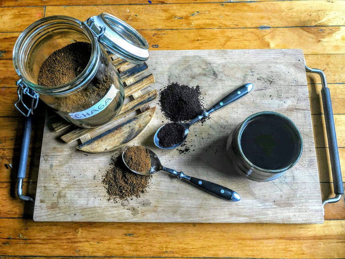 Benefits of Organic Chaga Mushroom