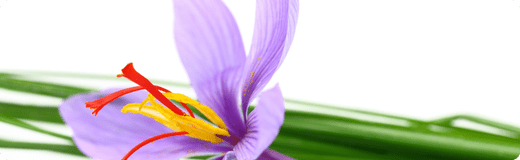 Find Saffron Supplements in the UK - Moodeys