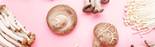 Functional Mushrooms: Exploring the Benefits of Wellness Supplements - Moodeys