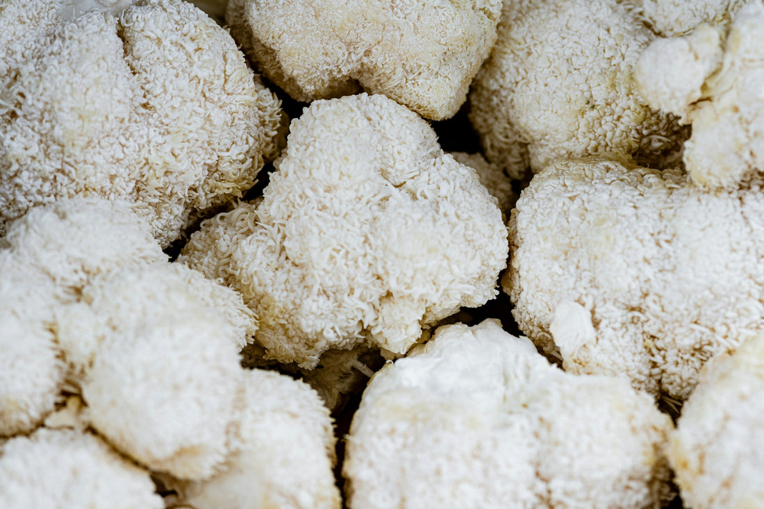Finding Functional Mushroom Supplements