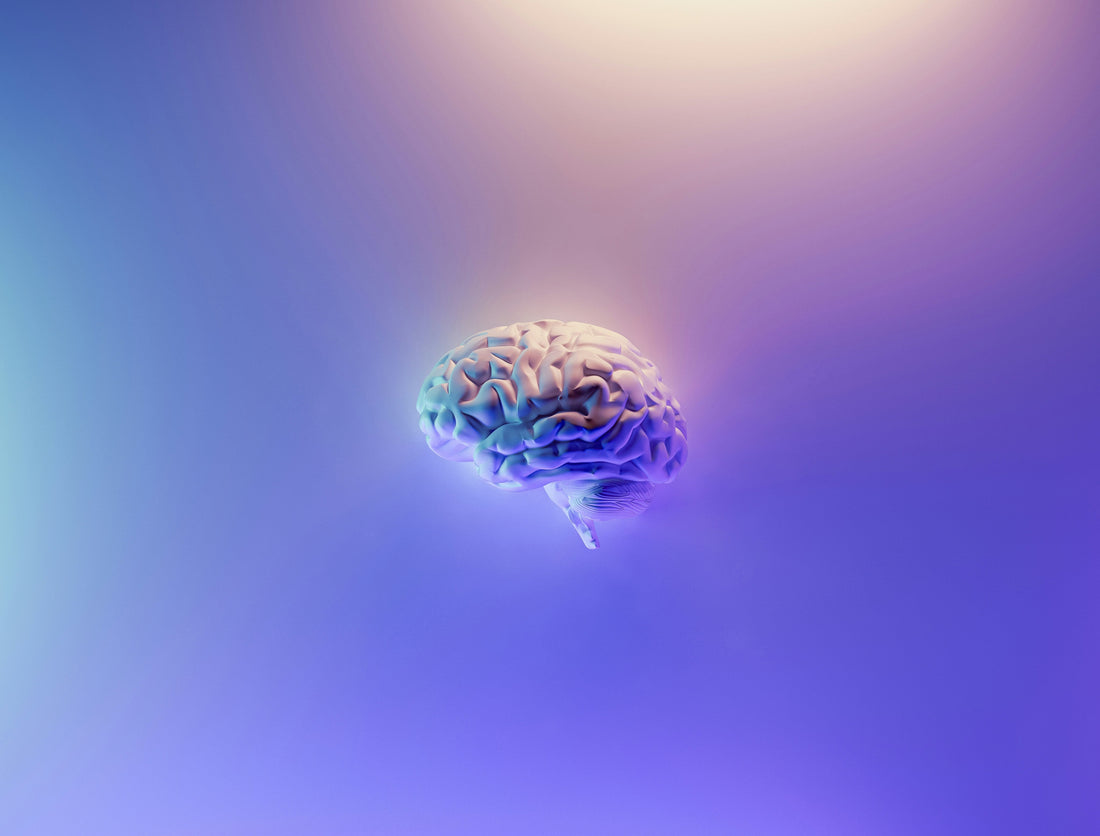 Find Our Best Cognitive Enhancers