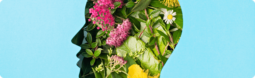 Nootropics for Focus: Natural Brain Boosters and Cognitive Enhancers - Moodeys