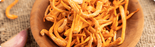 What are The Benefits of Organic Cordyceps Mushroom - Moodeys
