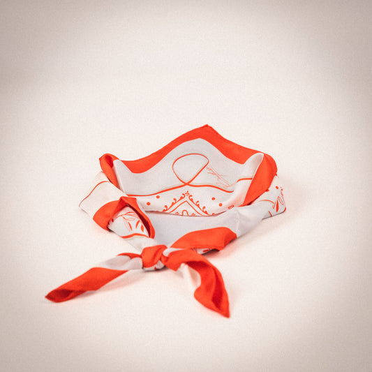 House Silk Scarf